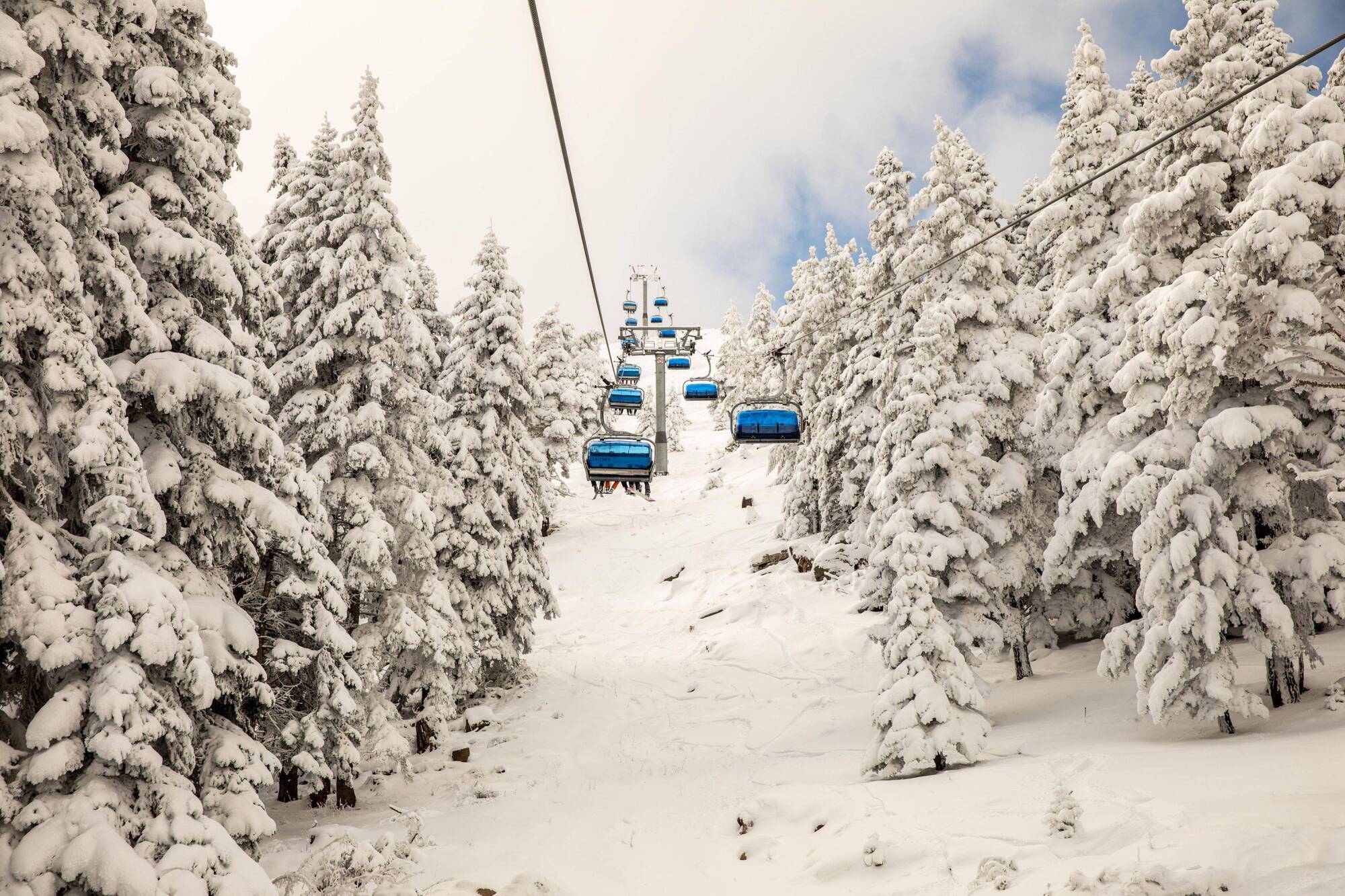 Dorukkaya Ski & Mountain Resort Bolu Exterior photo